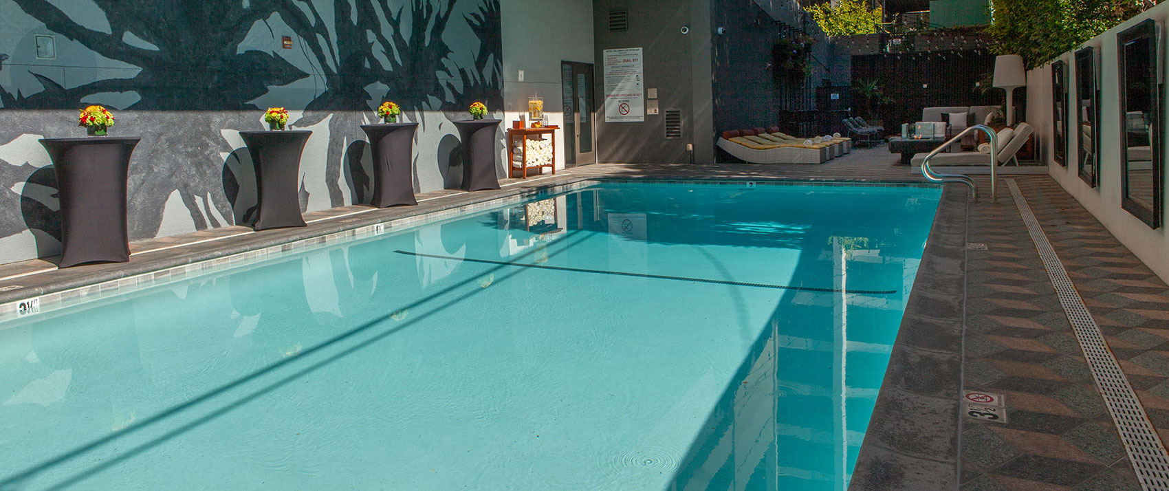 Kimpton Palomar Hotel pool