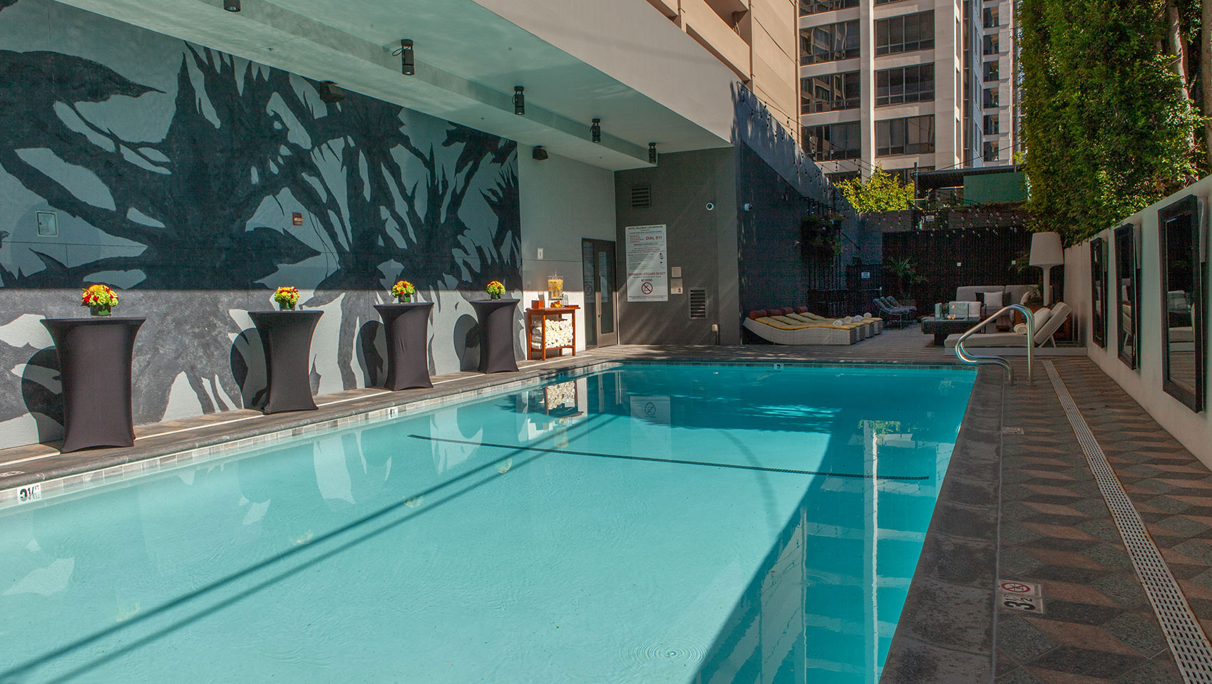 kimpton palomar los angeles pool